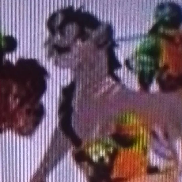chat with ai character: Mikey as a Lion