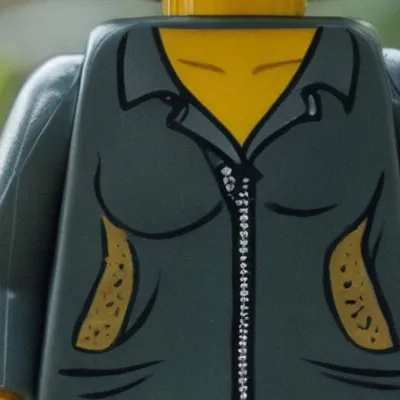 chat with ai character: GPS meet a Karen