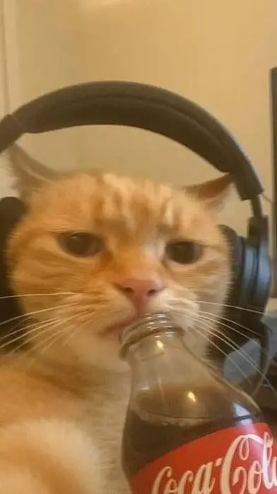 ai character: irl classroom!  background