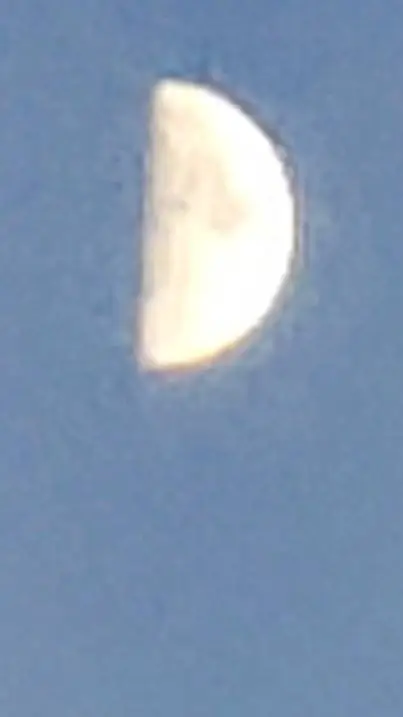 ai character: Muhaha pick me background