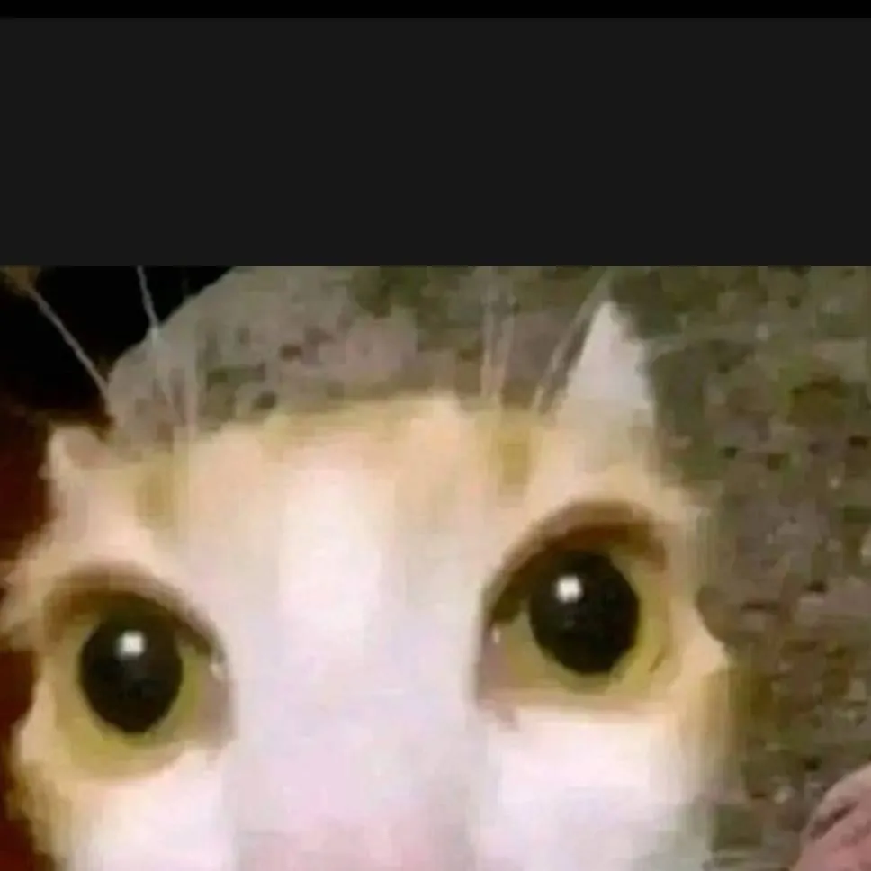 chat with ai character: cat