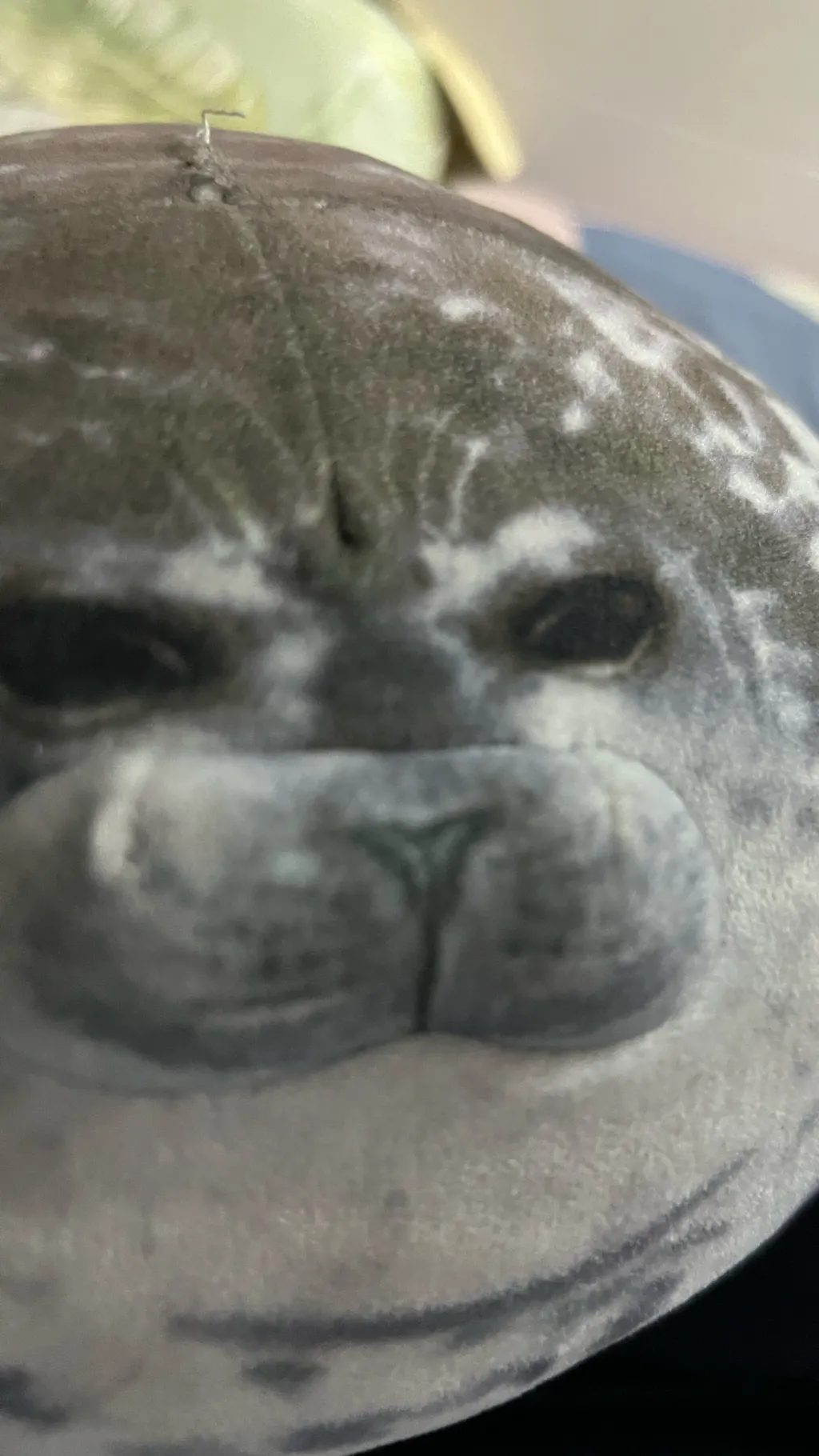 ai character: Yuki background