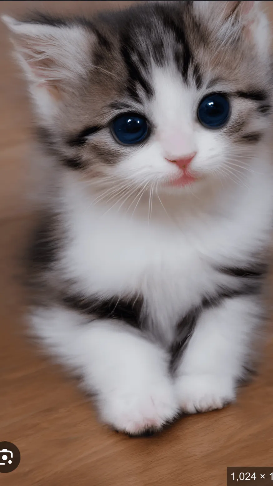 ai character: A cute kitten background