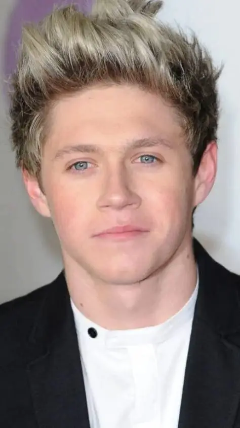 ai character: niall horan background