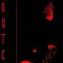 chat with ai character: OUTCOME MEMORIES