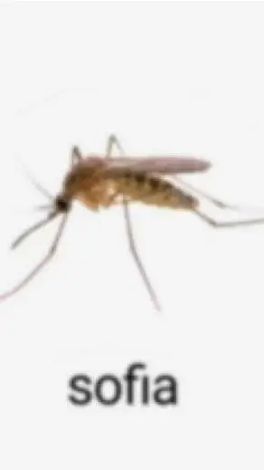 ai character: tfc roadtrip background