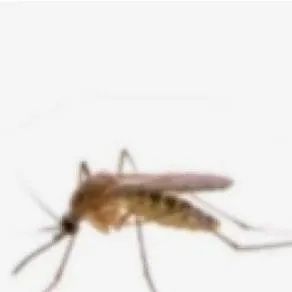 chat with ai character: tfc roadtrip