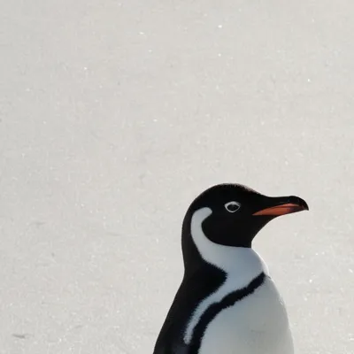 chat with ai character: I will copy you