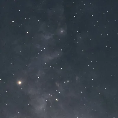 chat with ai character: Tarajazz