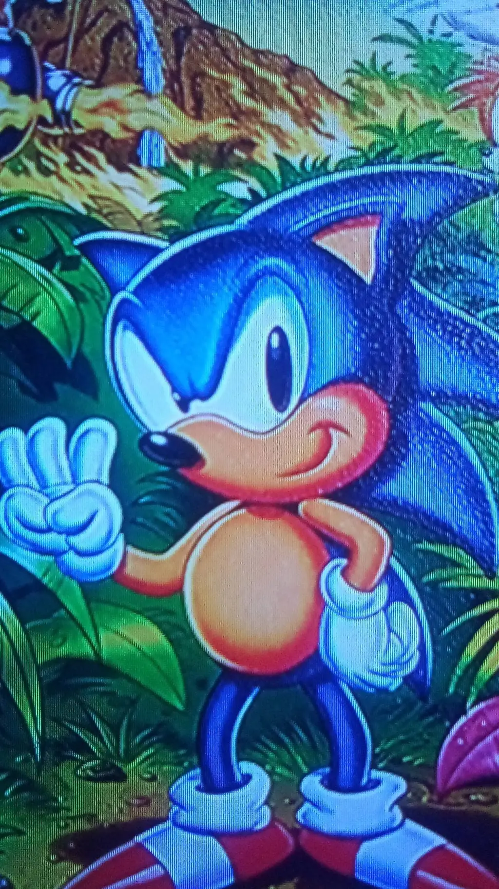 ai character: Sonic *box art* background