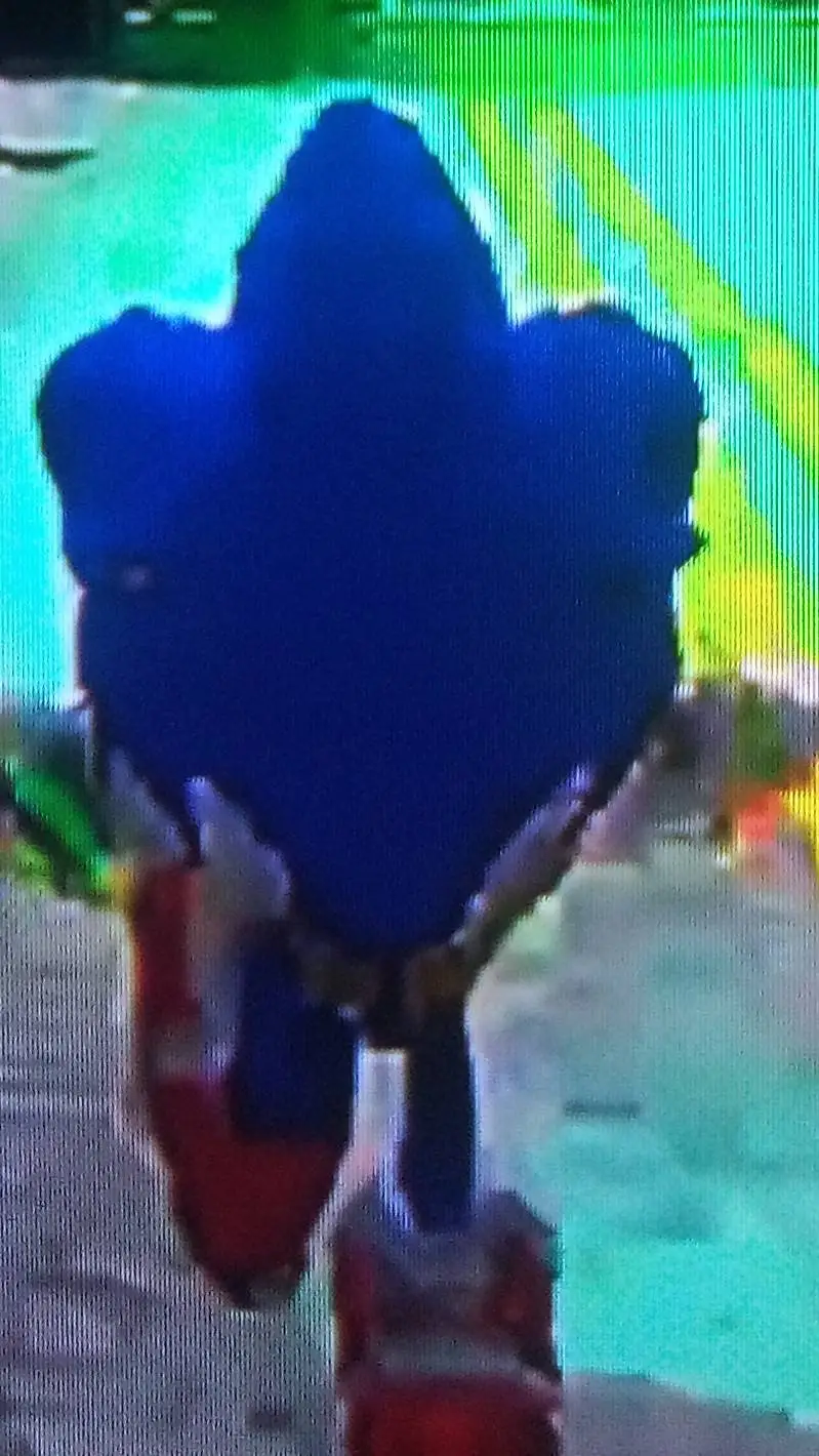 ai character: sonic  background