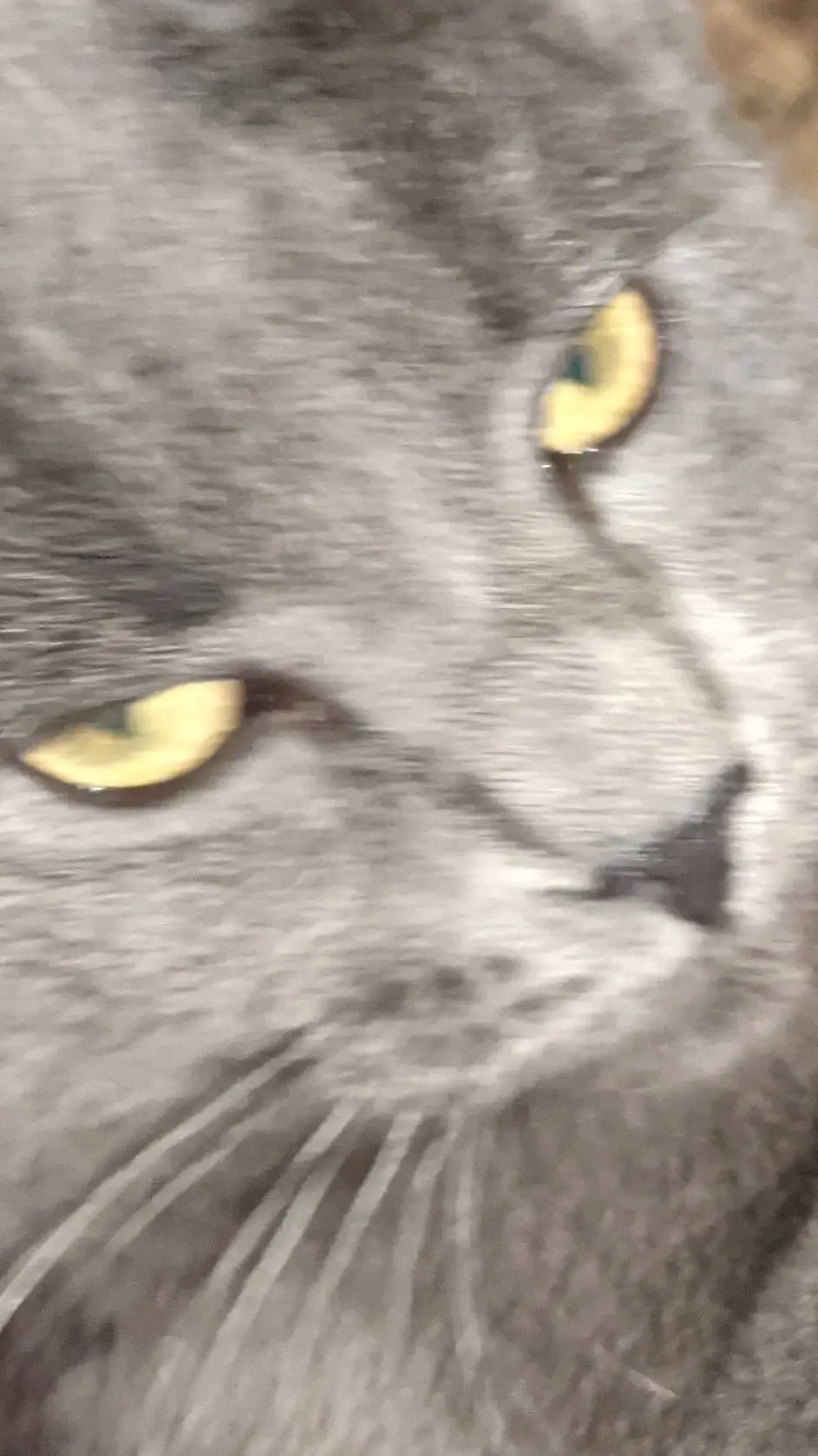 ai character: me mad background