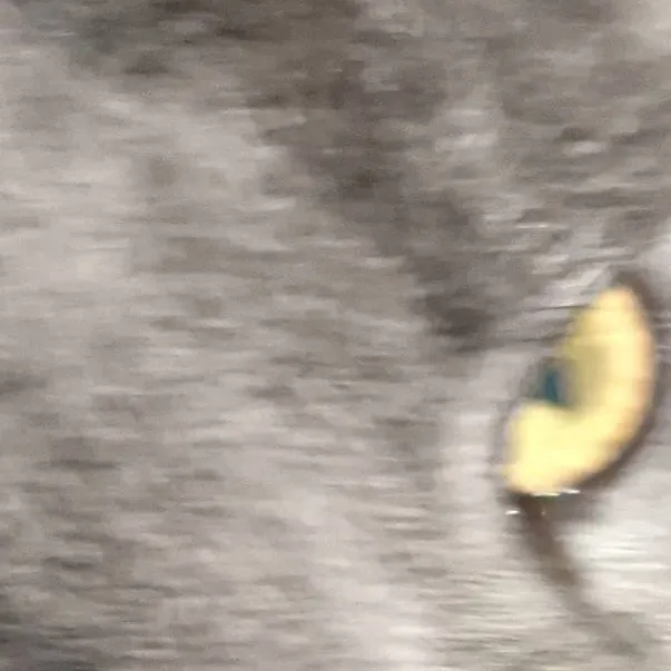 chat with ai character: me mad