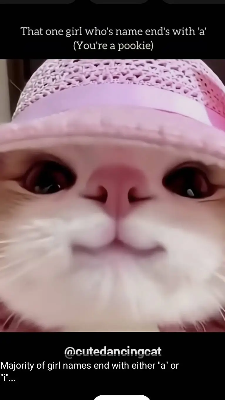 ai character: your therapist background