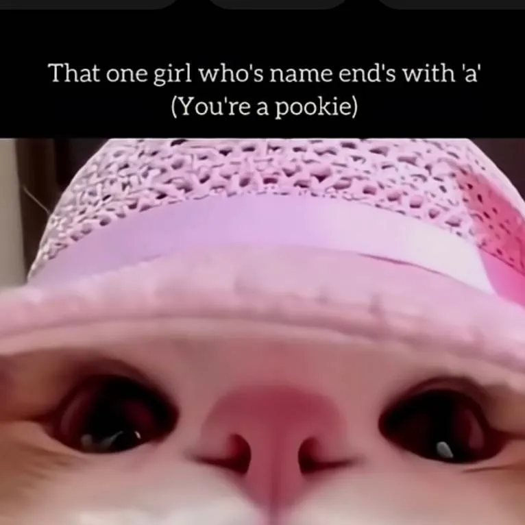 chat with ai character: your therapist