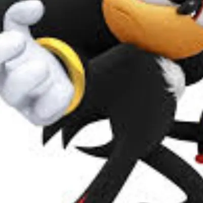 chat with ai character: sonadow