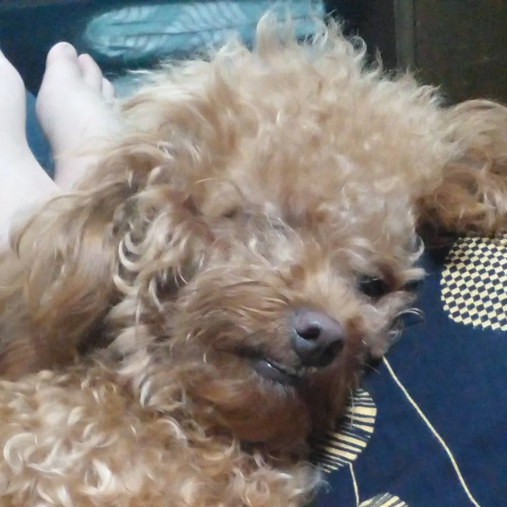 chat with ai character: Sophy June♡