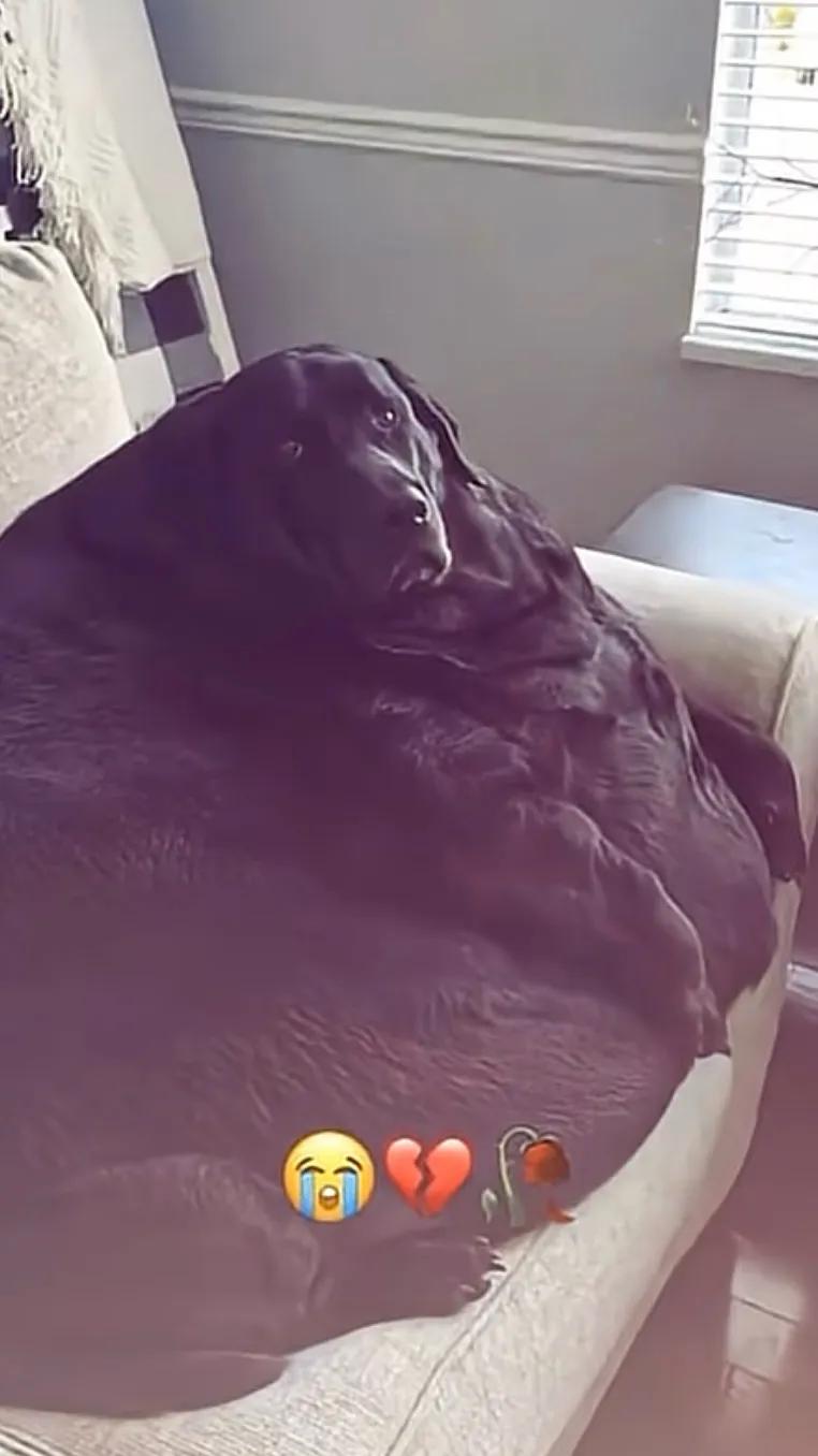 ai character: Uhm background