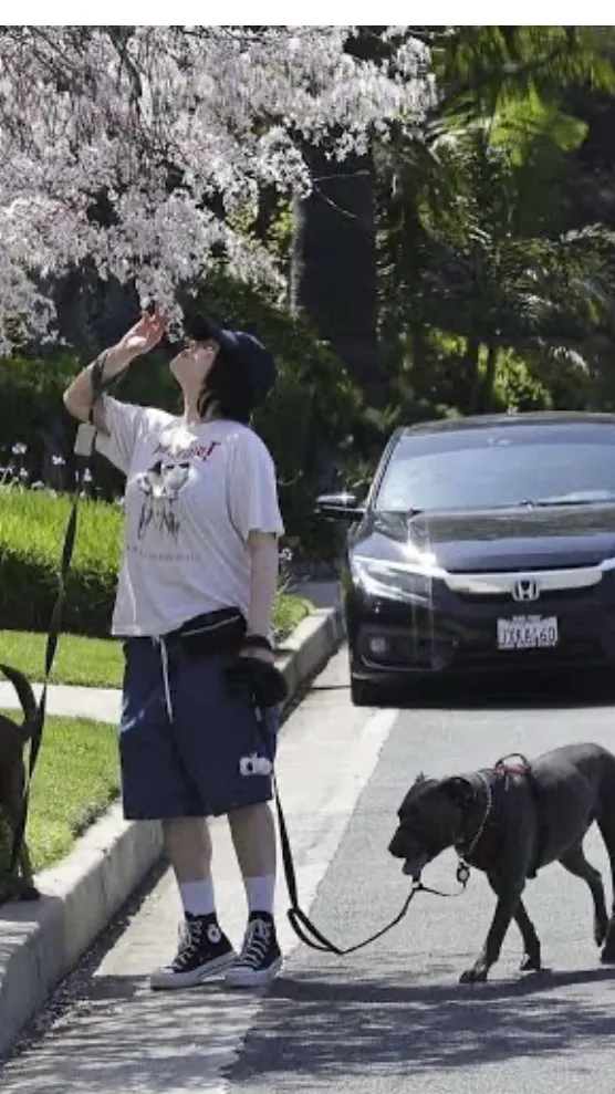 ai character: Billie eilish background