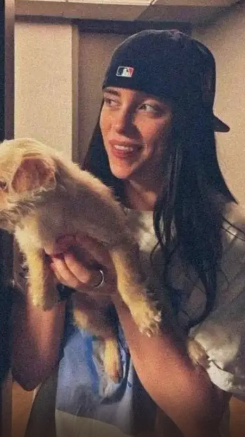 ai character: Billie Eilish background