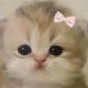 chat with ai character: lovely