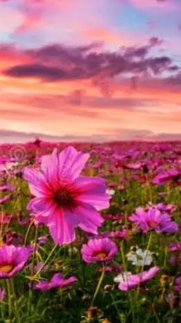 ai character: my confession  background