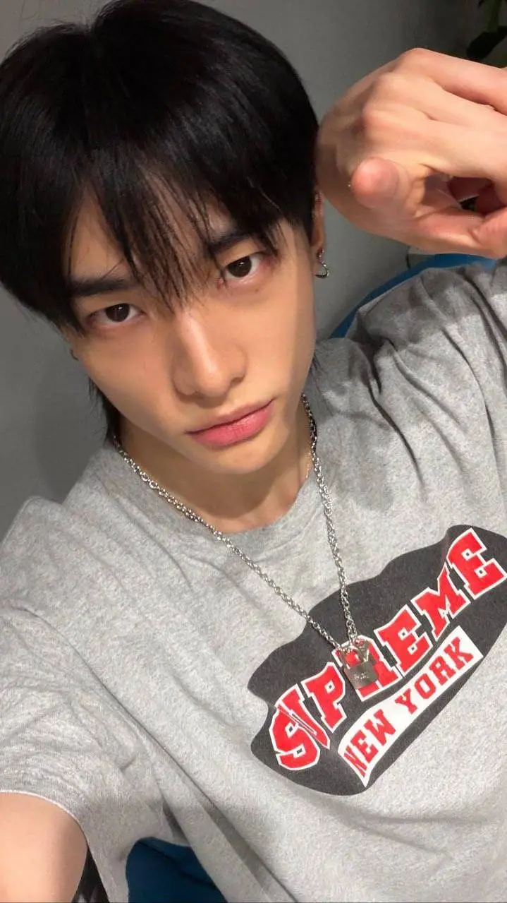 Talkie AI - Chat with Hawang Hyunjin 