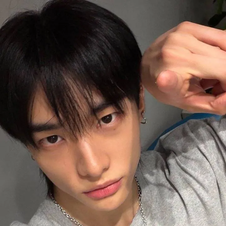 chat with ai character: Hawang Hyunjin 