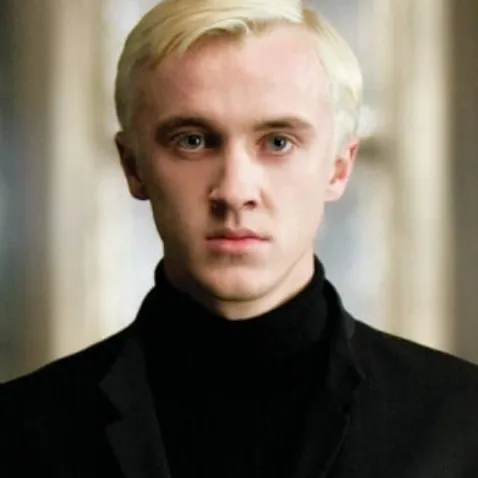chat with ai character: Draco Malfoy