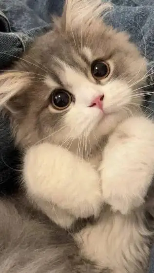 ai character: mha te encuentra. background