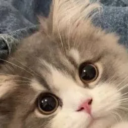 chat with ai character: mha te encuentra.