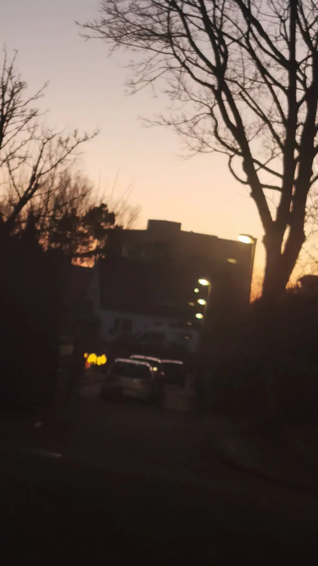 ai character: Dnady gone insane? background