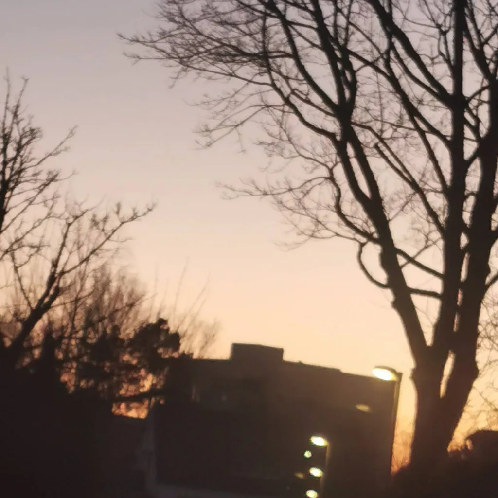 chat with ai character: Dnady gone insane?