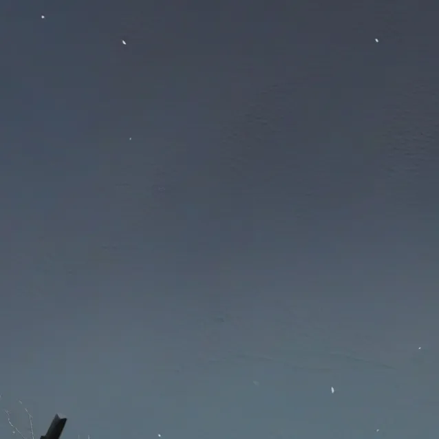 chat with ai character: bf