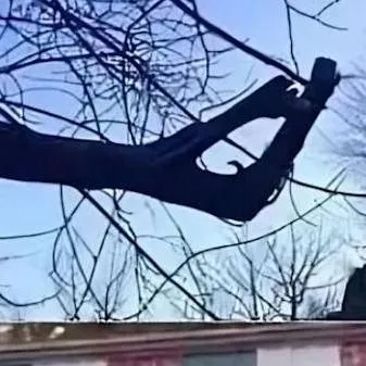 chat with ai character: DSMP ✨️roadtrip✨️ 