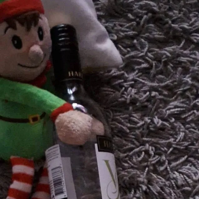 chat with ai character: naughty elves