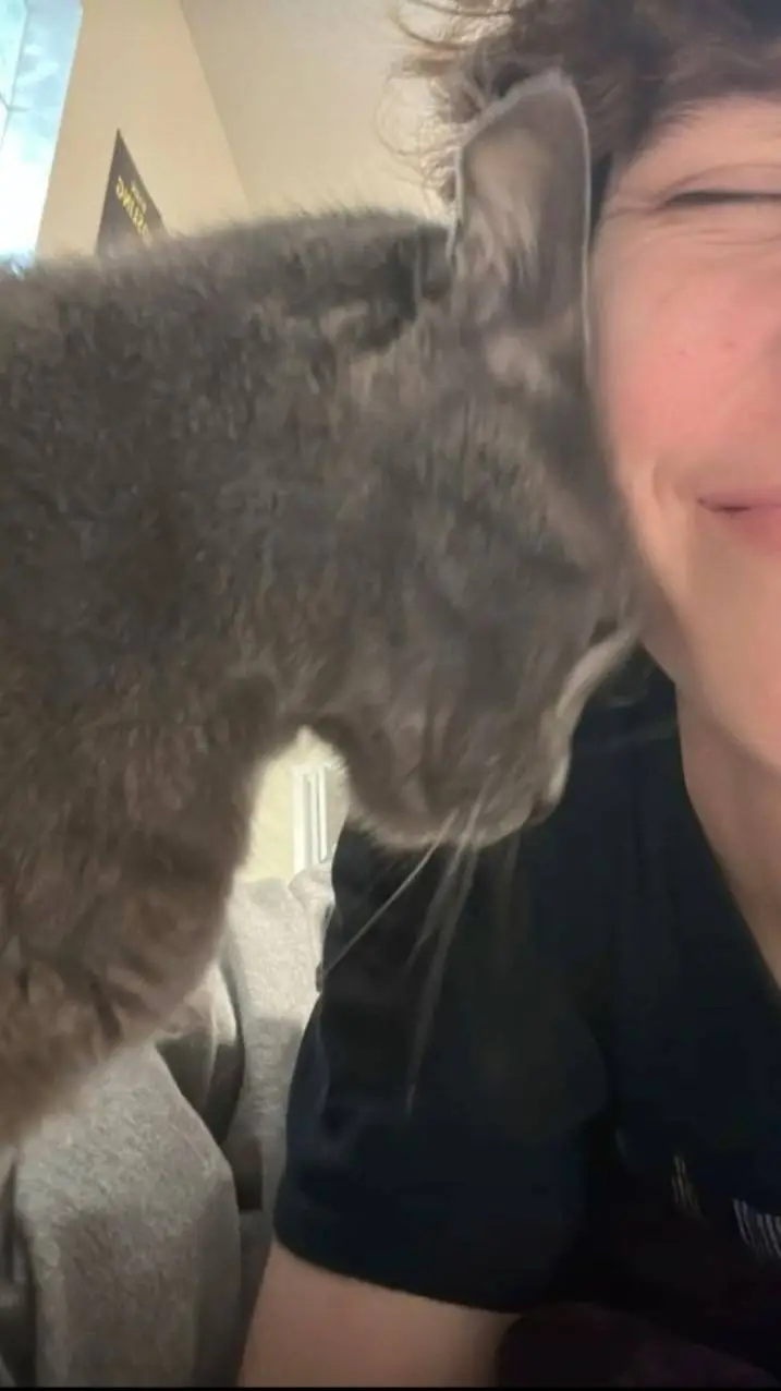 ai character: Josh step-bro background