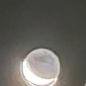 chat with ai character: meeting ancestors