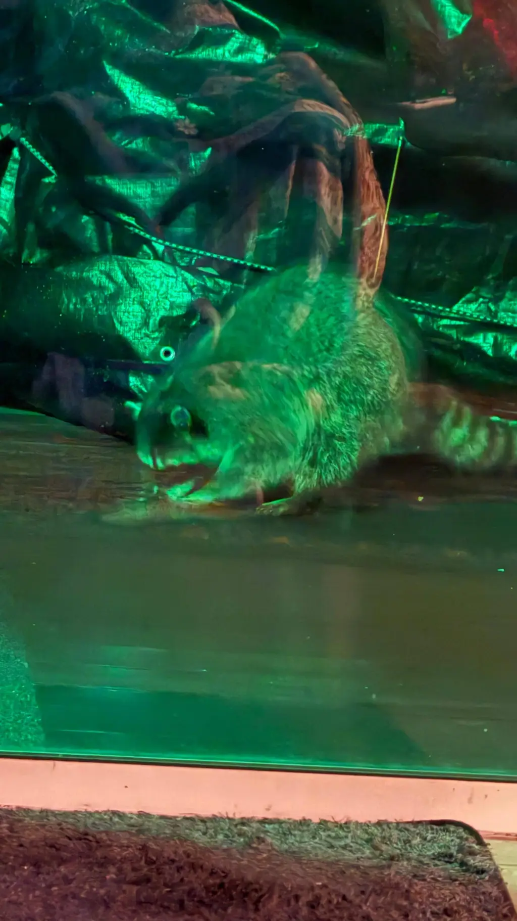 ai character: Mha Gabriela background