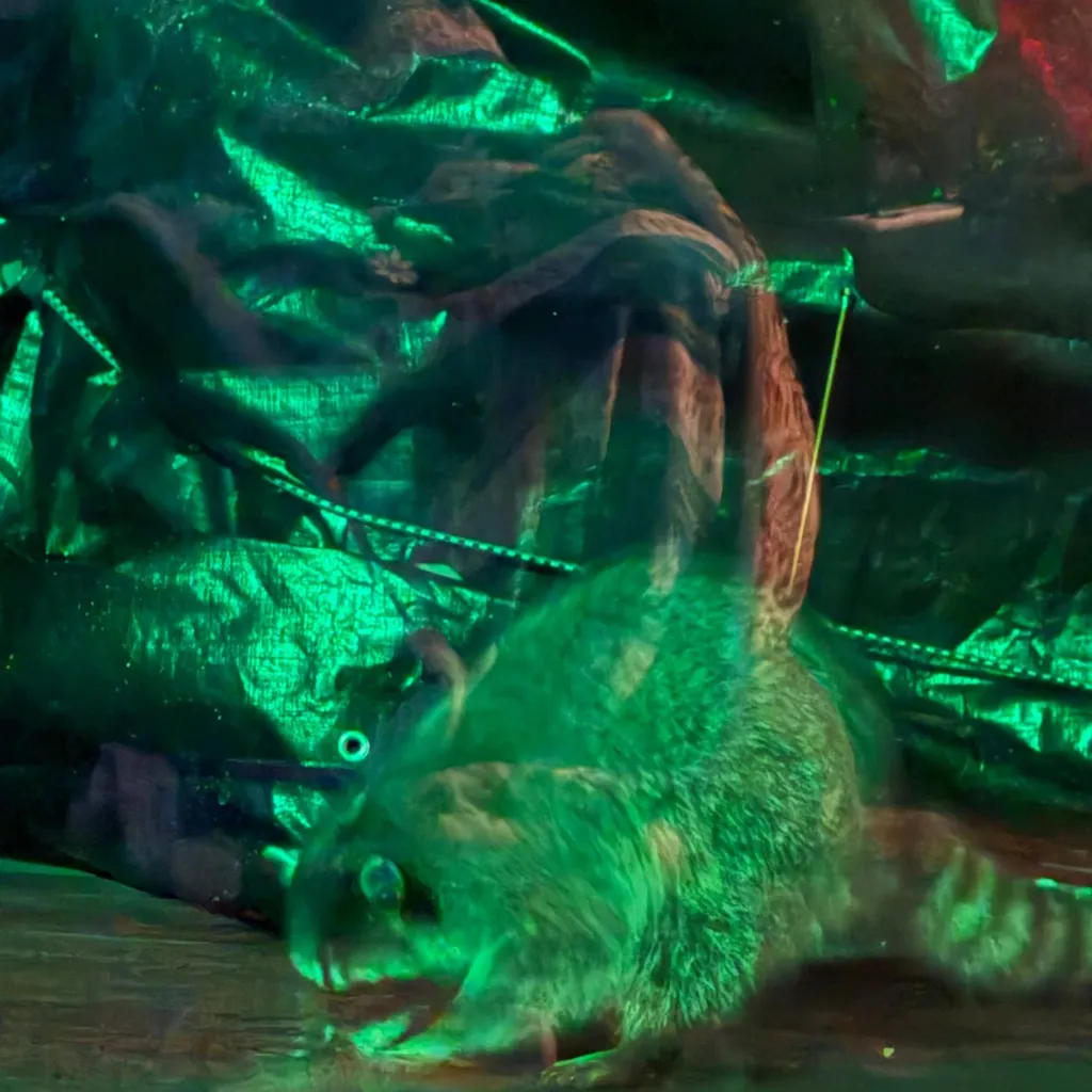 chat with ai character: Mha Gabriela