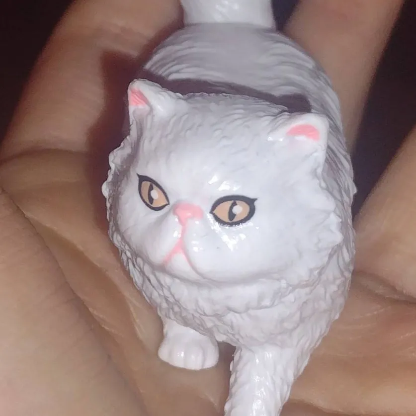 chat with ai character: Sugar the cat