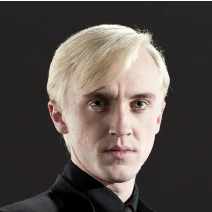 chat with ai character: Draco Malfoy