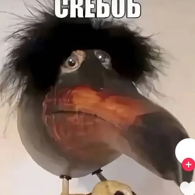 chat with ai character: SKEBOB 