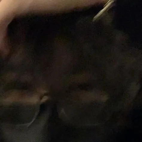 chat with ai character: Axel