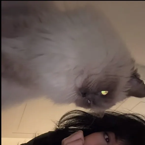 chat with ai character: Nym