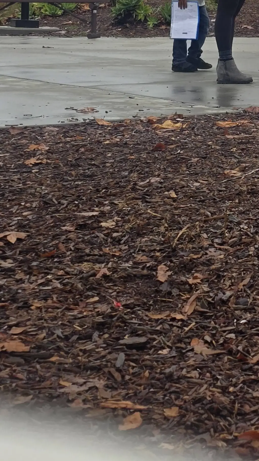 ai character: ~School~ background