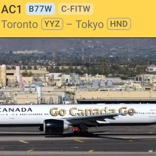chat with ai character: Air Canada (2)