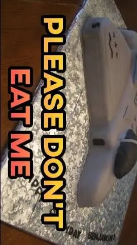 ai character: Cake F-22  background