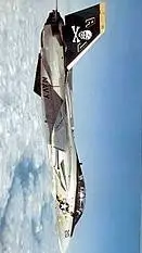 ai character: 🇺🇸F-14 tomcat🇺🇸 background