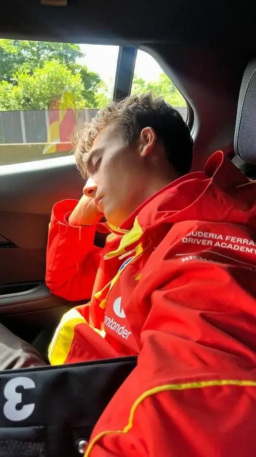 Talkie AI - Chat with Dino Beganovic 